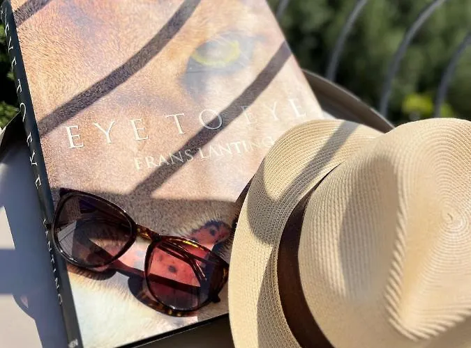 Old Town Hvar Sea View Apartment Hvar Town